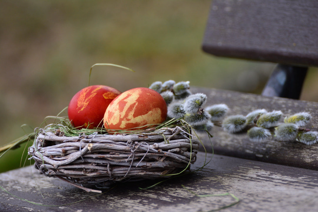 5 Easy Ways To Have an Eco-Friendly Easter